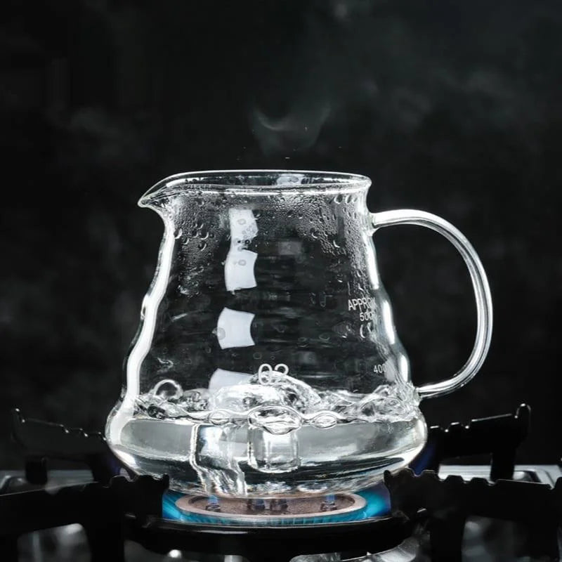 Borosilicate Glass Coffee Carafe with Hario V60 Dripper