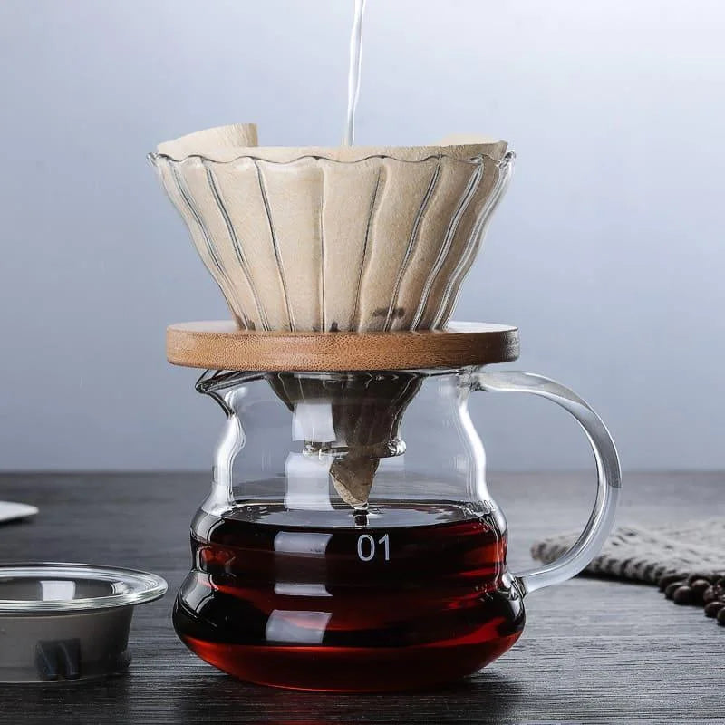 Borosilicate Glass Coffee Carafe with Hario V60 Dripper