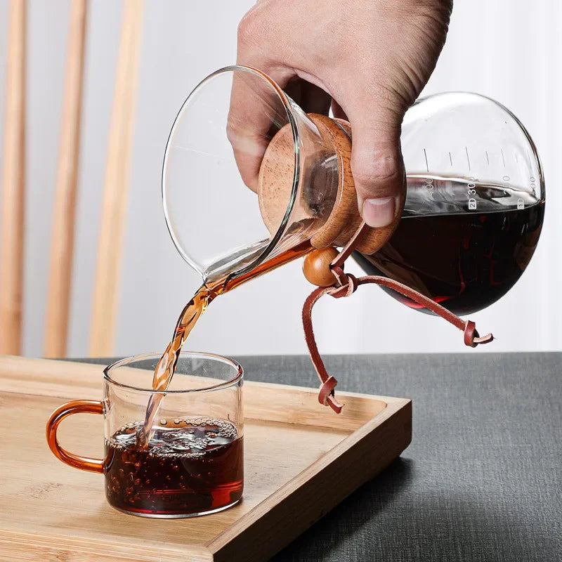 Borosilicate Glass Drip Coffee Maker with Built-in Filter