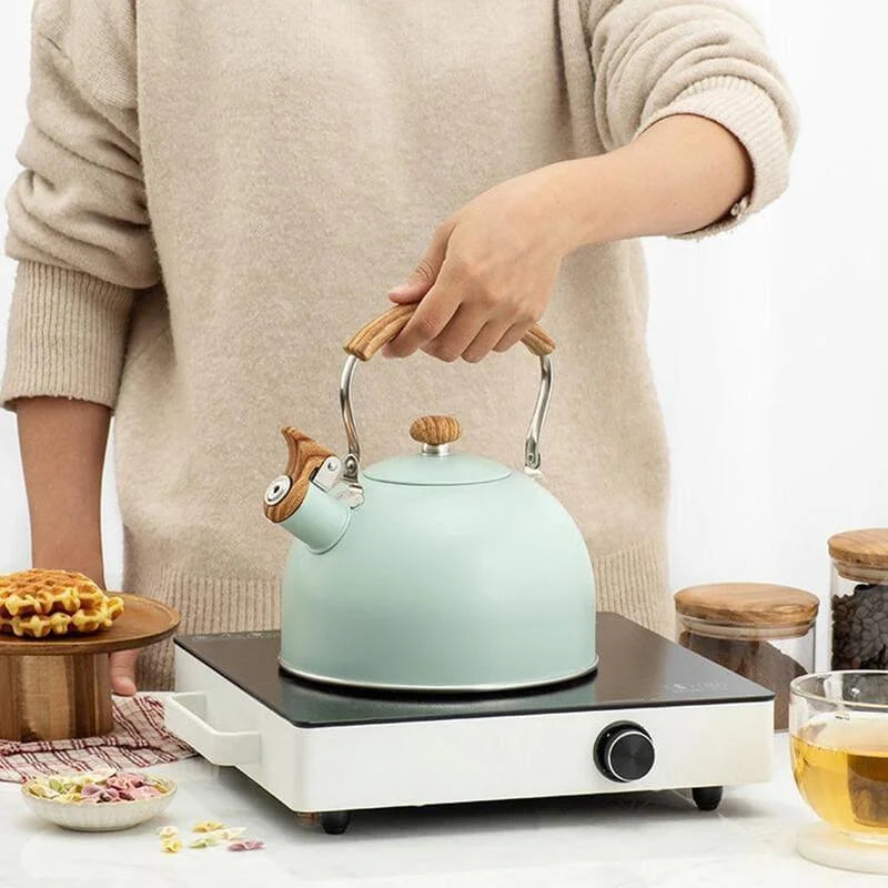 Monzzi 2.5L Stainless Steel Stove Kettle with Wooden Handle and Whistle
